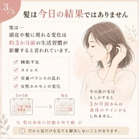 画像264