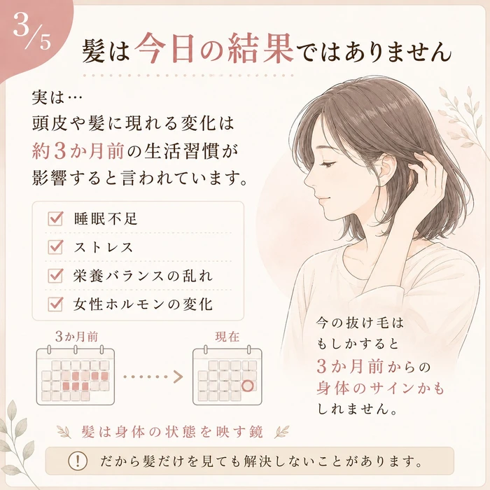 画像264